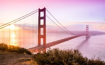san francisco (bay area)