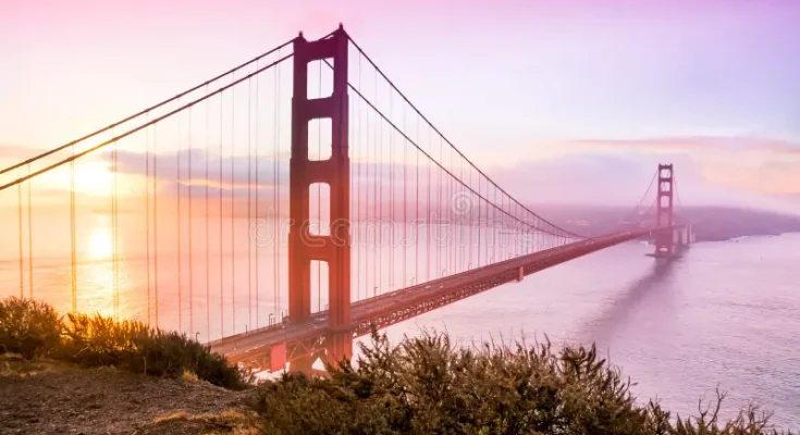 san francisco (bay area)